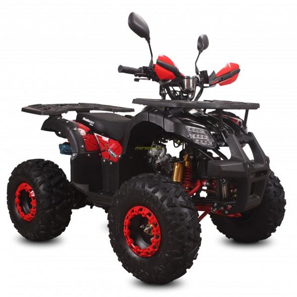 ATV Djecji Četverotočkaš Quad 125 ccm Xtrax 3+1
