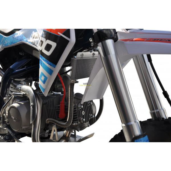 Pitbike kros cross motor Dorado DT140 19"/16"