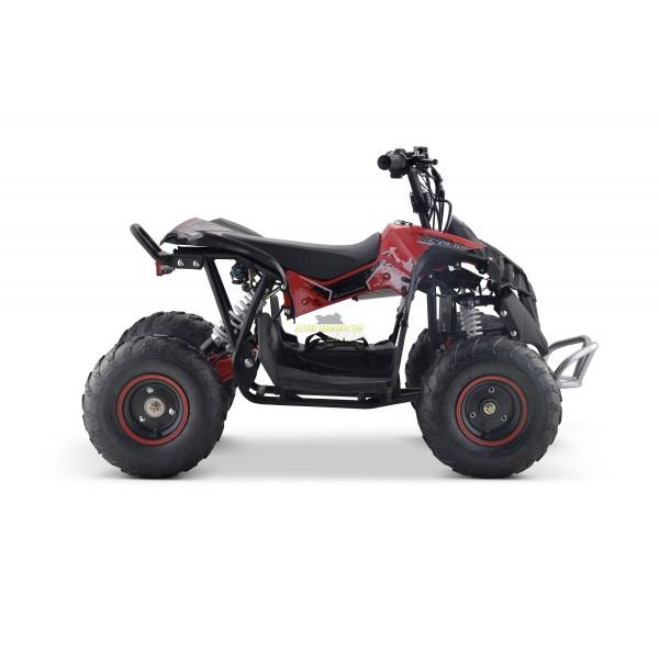 Quad Dječji Renegade 1200 W