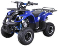 QUAD Midi dječji 125 ccm quad za djecu S-8 Farmer